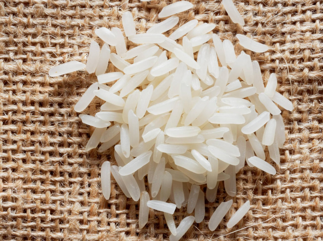 PR-106 Raw Rice Fields